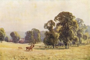 Cobham Park (farge litho) av Ernest William Haslehust