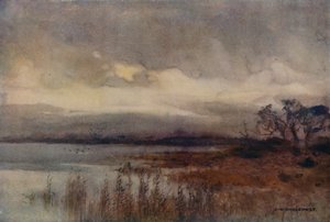 Hickling Broad (farge litho) av Ernest William Haslehust