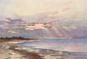  av Ernest William Haslehust