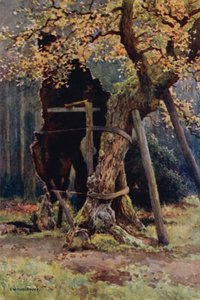 Robin Hoods spisekammer (litho i farge)