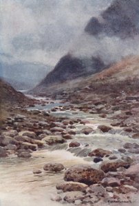 Fat Cleave (farge litho) av Ernest William Haslehust