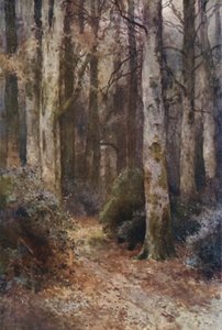 "Katedralen" (farge litho)