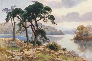 Virginia Water (farge litho) av Ernest William Haslehust