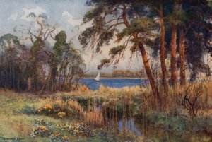 Wroxham Broad, tidlig vår (farge litho)