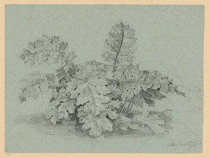  av Ernst Fries