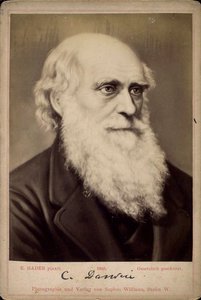 Charles Darwin , britisk naturforsker, c1860-c1870s av Ernst Hader