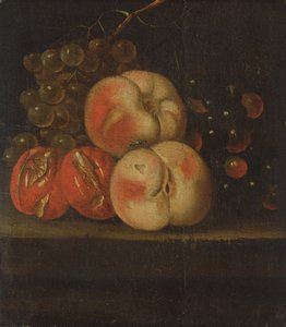 Fruktstudie