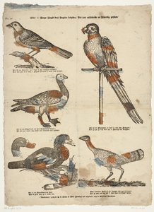 Ønsker /ô! ung ungdom fugletitting / De veldig gode etter livlige lignende (tittel på objekt) av Erven de Weduwe Jacobus van Egmont