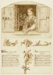 Jessamine-vinduet, som trekker mot 