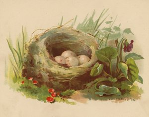 Fugleredet (chromolitho)