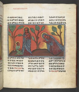 Eller. 607 f174r, Scene fra Jomfru Marias liv, fra 