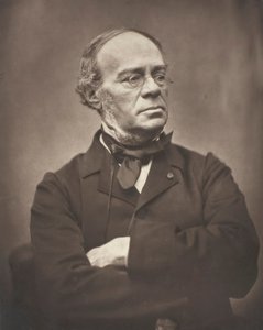 Halévy, ca. 1876. av Etienne Carjat