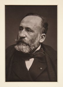 Portrett av Pierre Puvis de Chavannes (1824-1898) av Etienne Carjat