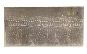 Mann som går, 1882