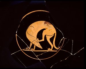 Attic rødfigurskopp med hund som klør seg i øret med et bakbein, inni tondo, 500-tallet f.Kr. av Euergides painter