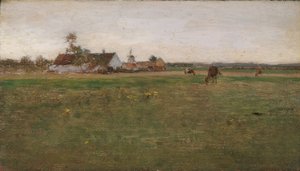 kveldslandskap