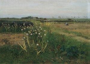 Blomstrende løkfelt