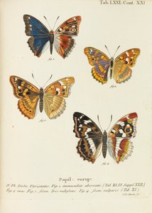 Sommerfuglene Sommerfuglene, 1777-1794. av Eugen Johann Christoph Esper