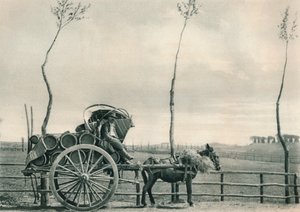 Vinbærer i Campagna, Roma, Italia, 1927 av Eugen Poppel