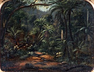 Ferntree Gully i Dandenong Ranges