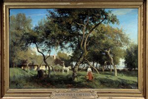 Å plukke epler i Normandie i 1865. Maleri av Eugene Lavieille (1820-1889)