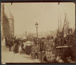 [Blomstermarkedet] av Eugène Atget