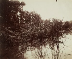  av Eugène Atget
