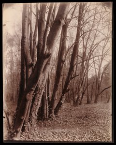  av Eugène Atget