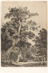 Gammel eik i Bois de Boulogne, 1855.