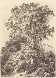 Beech Grove, 1840. av Eugene Bléry