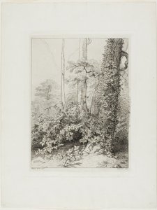 Bramble og Ivy av Eugene Bléry