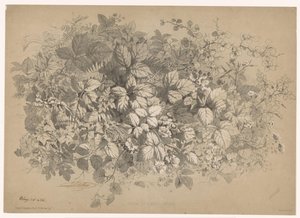 Bramen og andre planter Brambles og ulike planter (tittel på objekt) Planten en bloemen (serietittel) Industriell guide hentet fra naturen og litografiert av Bléry (serietittel) av Eugene Bléry