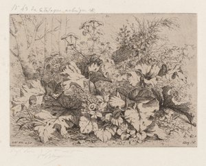 Burdock i blomst av Eugene Bléry