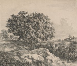 Le chêne au ravin Oak Tree by a Ravine, 1845.    1181880   no       norwegian Successfully Translated  Original: Design for a Dish with Portraits of the Roman Emperors Caesar, Claudius, and Otho, ca...., ca. 1588. Translat: Design for a Dish with Portraits av Eugene Bléry