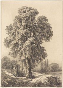 Elmtreet, 1840.