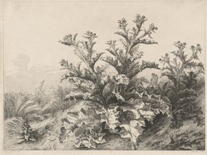 The Great Thistle (Le Grand Chardon) av Eugene Bléry