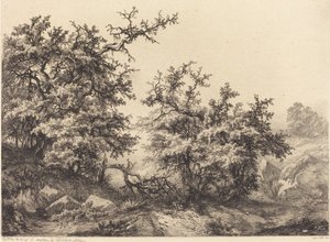 Tornbusker, 1840.