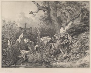 Water Dock and Brambles at a Sluice, 1843. av Eugene Bléry