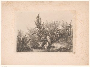 Waterzuring en riet aan de oever Vann tålmodighet ved den lille ventilen Studier tegnet og gravert fra naturen (...) (serietittel) av Eugene Bléry
