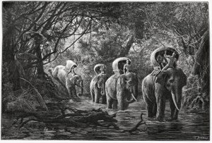 På vei inn i skogen reiser ekspedisjonen på ryggen til en elefant. Gravering av Eugene Burnand, for å illustrere historien "Reise i Øvre Laos", i 1880, av Dr. P.Neis. Publisert i Le Tour du monde, nouveau journal des voyages, 2. semester 18 av Eugene Burnand