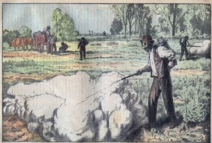 Ødeleggelsen av mulotene (Apodemus) av den kvelende gassen in the Dawn - gravering av Damblans - le-pelerin fra 1923 av Eugene Damblans