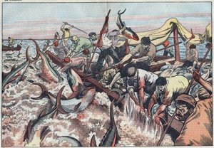 Tunfiskfiske i Tunisia - Tunfisk fanges i det siste garnet kjent som "corpo", klekkes ut med hoggtenner og slenges i fiskebåten. Illustrasjon av Damblans. I "" Le Pelerin"" av 30. august