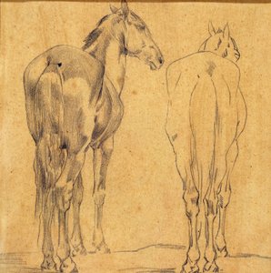 Studie von zwei Pferden av Eugène Fromentin