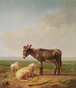 Ass og sau, 1849 (olje)