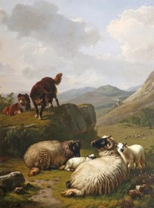 Sauer og hunder av Eugene Joseph Verboeckhoven