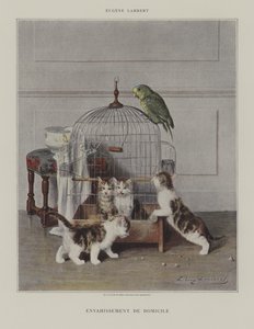 Hjemme invasjon av Eugene Lambert