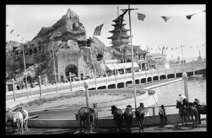 View of Coney Island, 1909 (nitrat negativ)