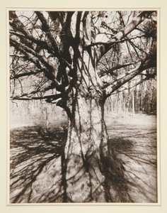 Bøk av Eugène Atget