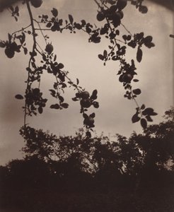 epletregren av Eugène Atget