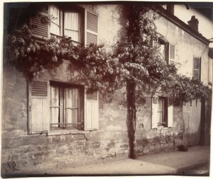 Glycin (Wisteria), Ch?tillon av Eugène Atget
